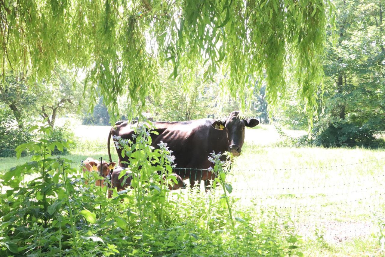 Ferienhaus Heinrichs Cappeler Niederstrich Kültér fotó